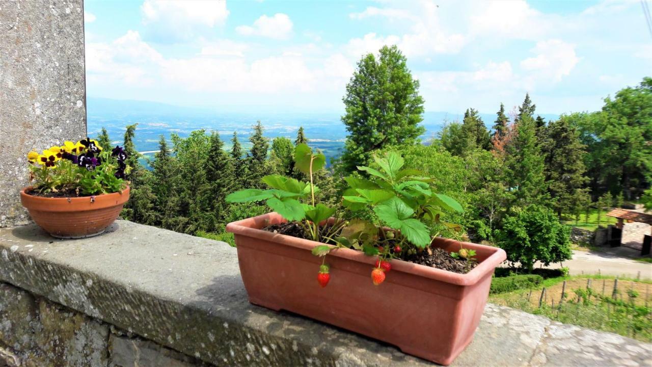 شقة A Due Passi Dal Chianti كافريجيليا المظهر الخارجي الصورة